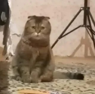 😳