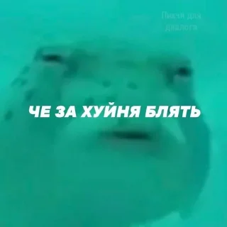 😶