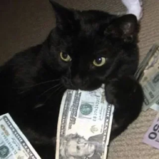 😺