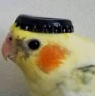 🎩