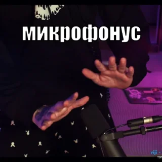 🎙