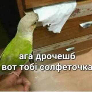 😏