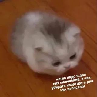 🧐