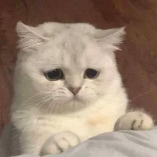 😔