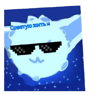 😼