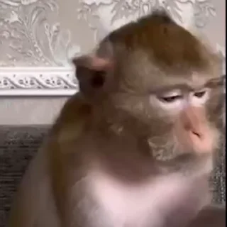 🤨