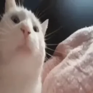 🕺