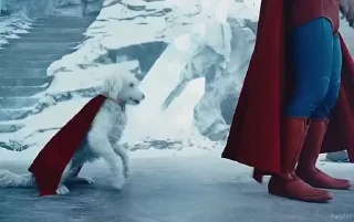 🐶
