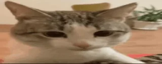 😐