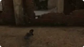 🌟
