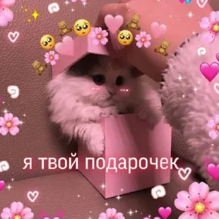 🥰