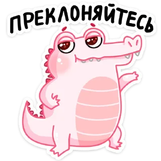 😎