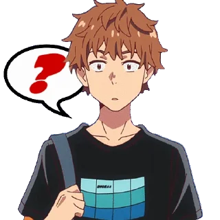 ❓