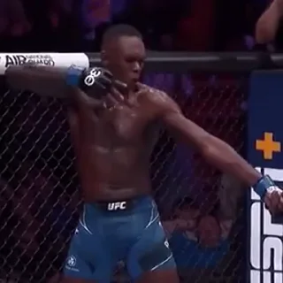 🏹