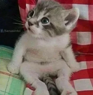 🧐
