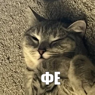 😝