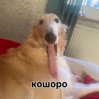 👍