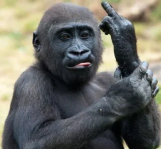 🖕