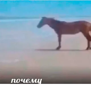 😕