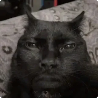 😶