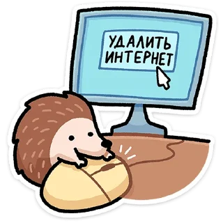 👨‍💻