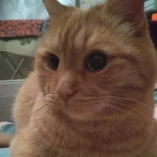 😳