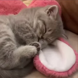 ❤️