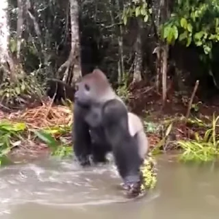 💦