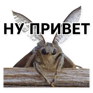 😃