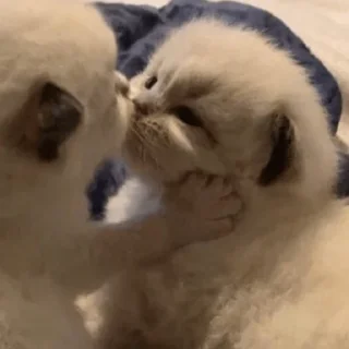 😖