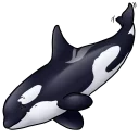 🐳