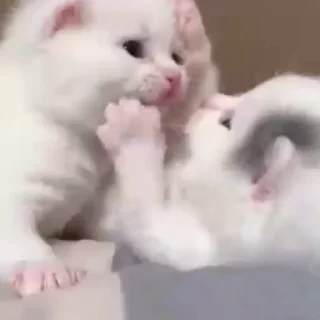 😗