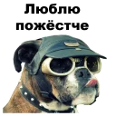 👮