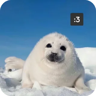 🦭