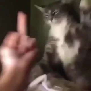 🖕