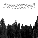 🌲