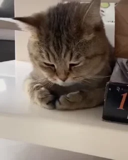 💕