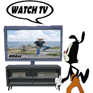 📺