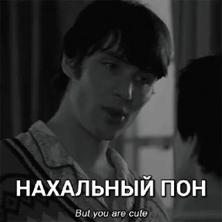😼