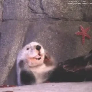 ☺️