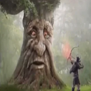 🌳