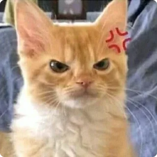 💢
