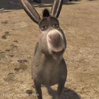 😏