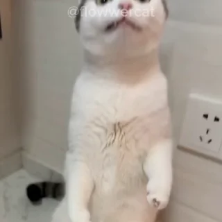 🤨