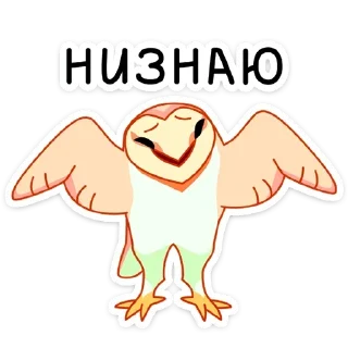 🤷