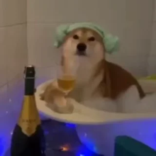 😁