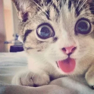 😛