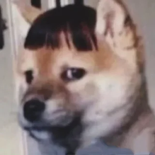 🙄