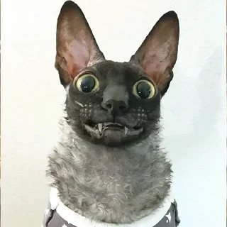 🙃