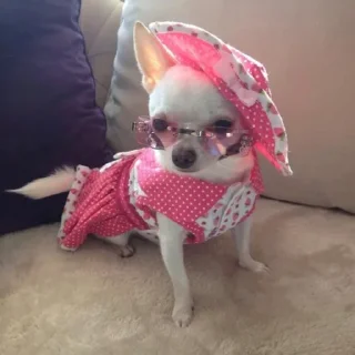 👗